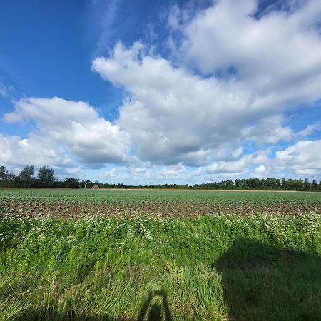 Huisje Mina Vrouwenpolder Eksteriør bilde
